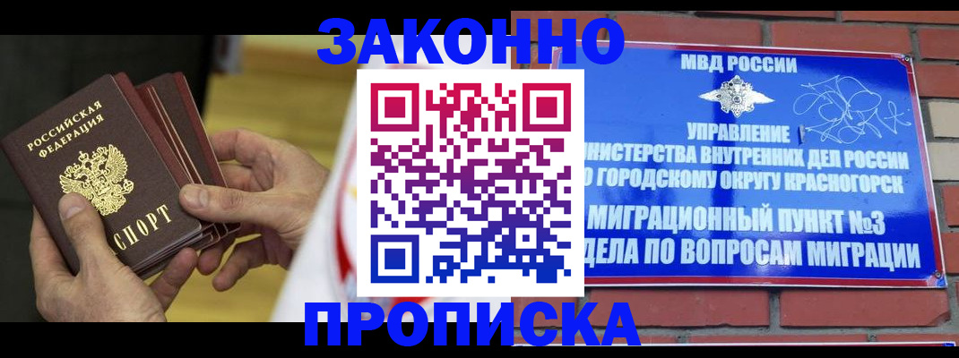 прописка для школы в Шебекино